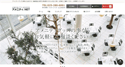 Desktop Screenshot of amenity-net.com